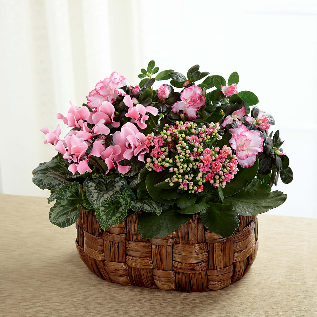 Pink Assortment – BUEHLER'S FLORAL, Wooster OH
