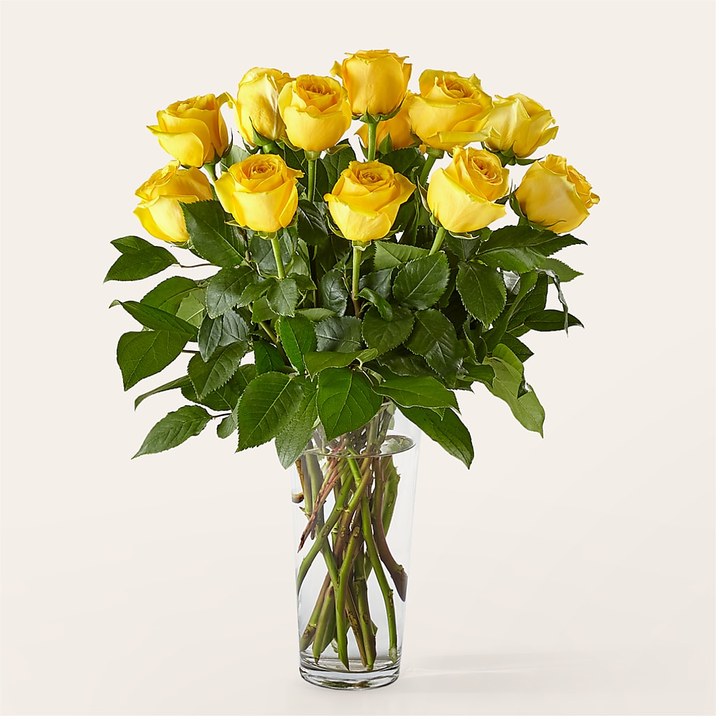 Long Stem Yellow Rose Bouquet – BUEHLER'S FLORAL, Wooster OH