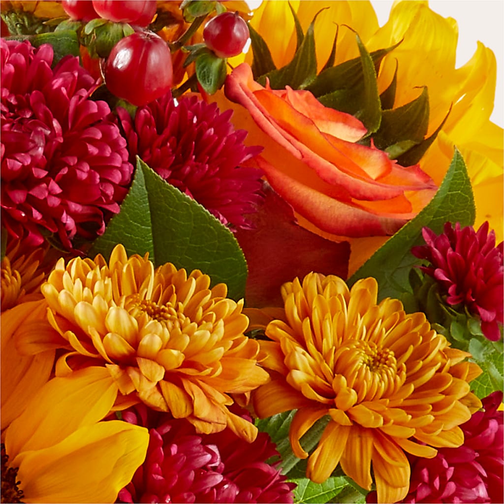 Sweater Season - A Florist Original – BUEHLER'S FLORAL, Wooster OH