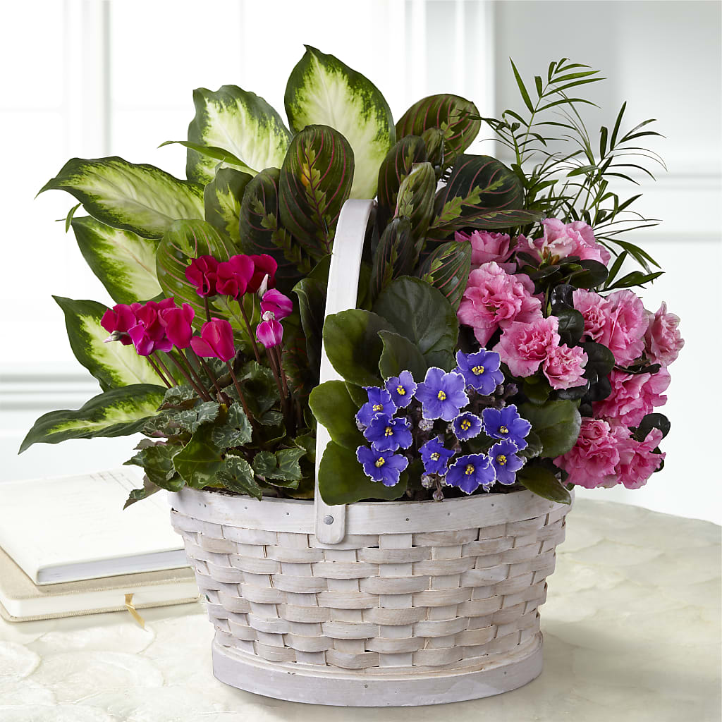 Peaceful Garden Planter – BUEHLER'S FLORAL, Wooster OH