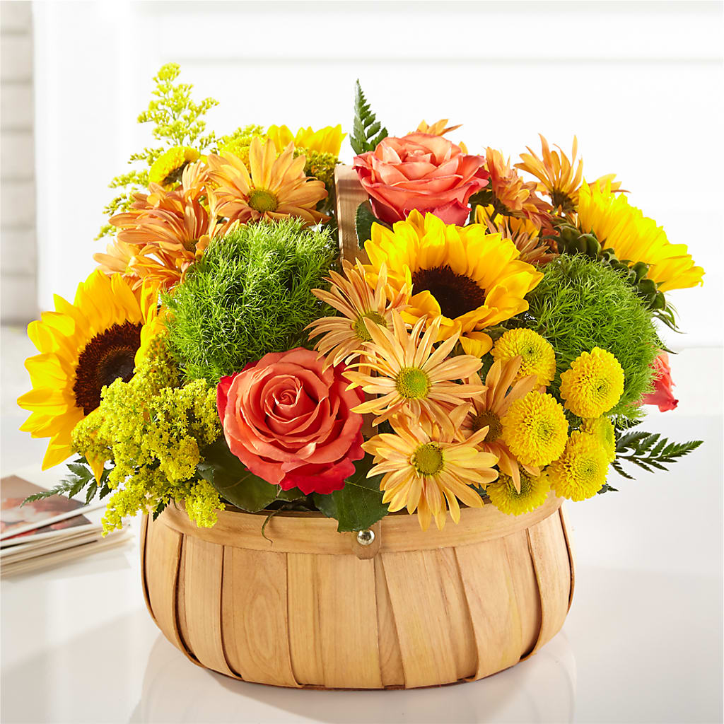 Harvest Sunflower Basket – BUEHLER'S FLORAL, Wooster OH