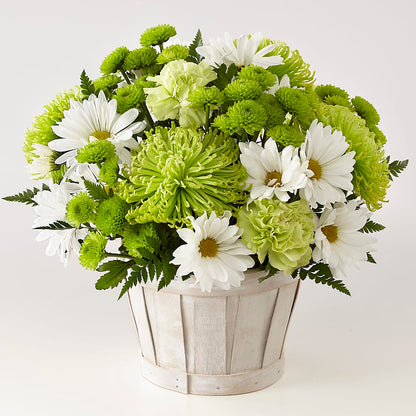 Lucky Charm Basket (Standard) – BUEHLER'S FLORAL, Wooster OH