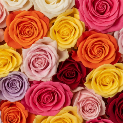 Three Roses - coordinating colors – BUEHLER'S FLORAL, Wooster OH