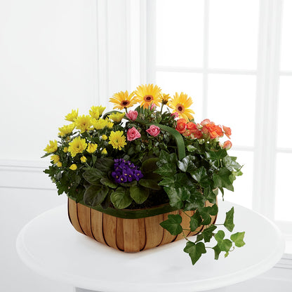 Gentle Blossoms Basket – BUEHLER'S FLORAL, Wooster OH