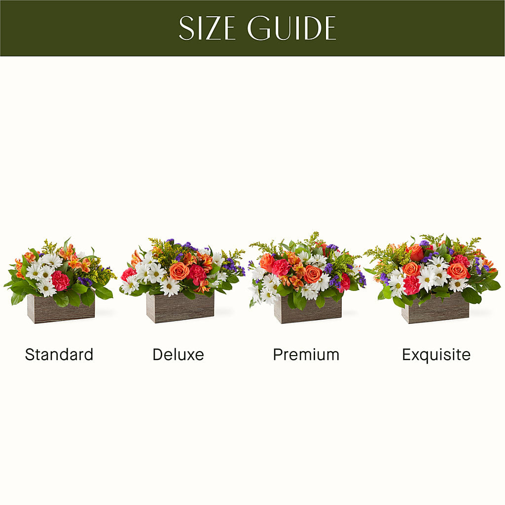 Oopsie Daisy Box Bouquet – BUEHLER'S FLORAL, Wooster OH