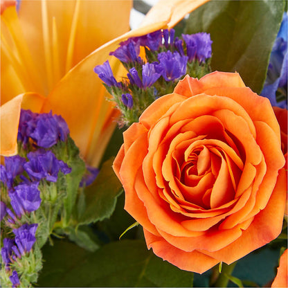 Radiant Citrus Box Bouquet – BUEHLER'S FLORAL, Wooster OH
