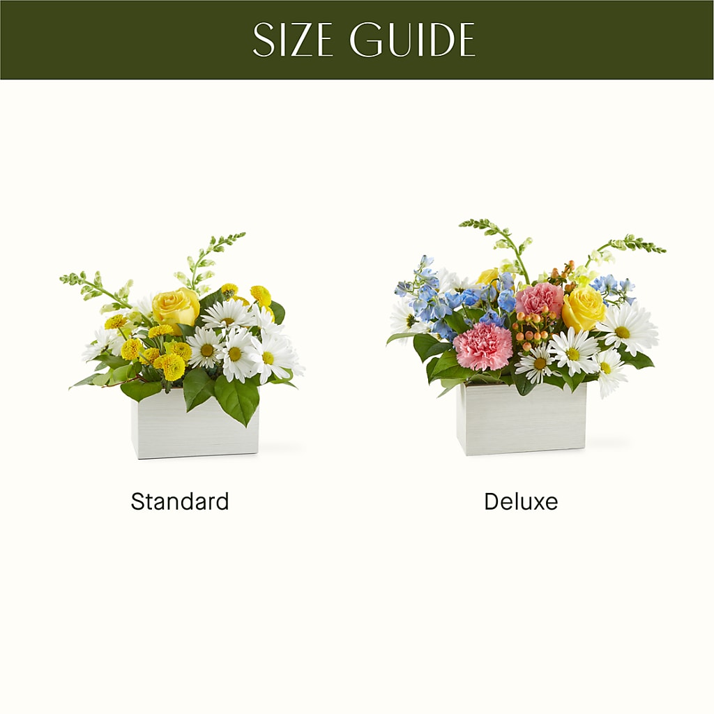 Sun Salutation Box Bouquet – BUEHLER'S FLORAL, Wooster OH