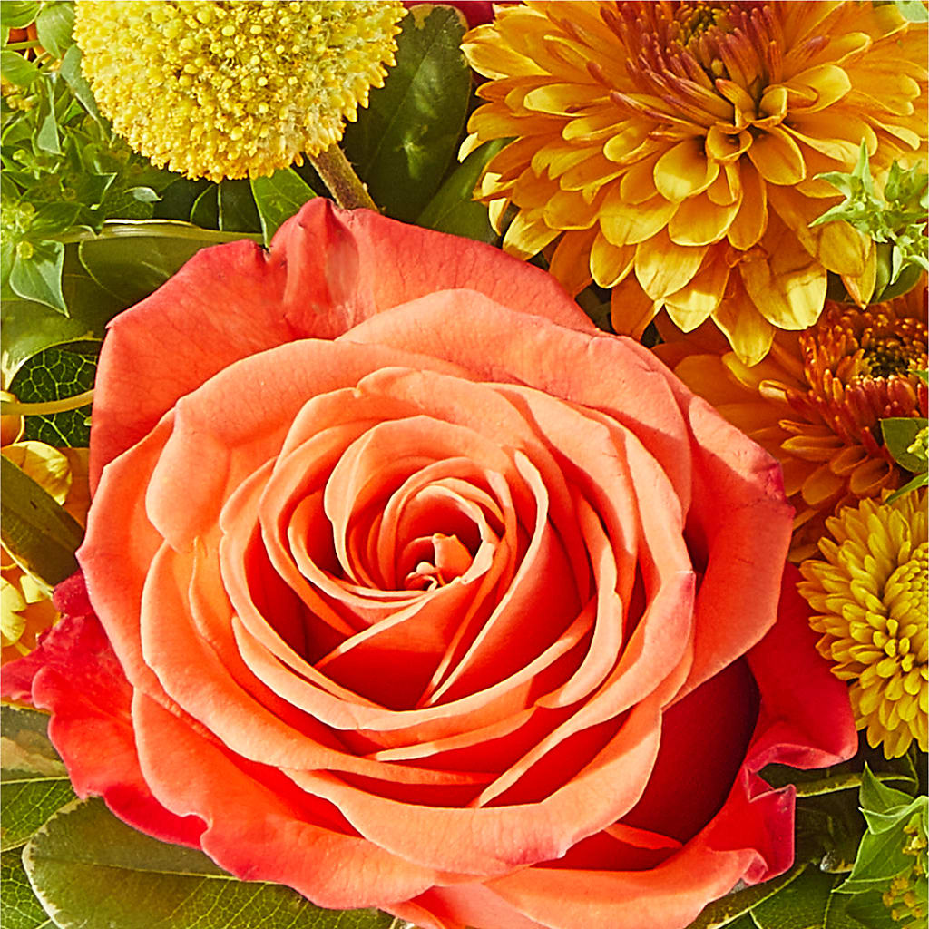 Gourdgeous Pumpkin – BUEHLER'S FLORAL, Wooster OH