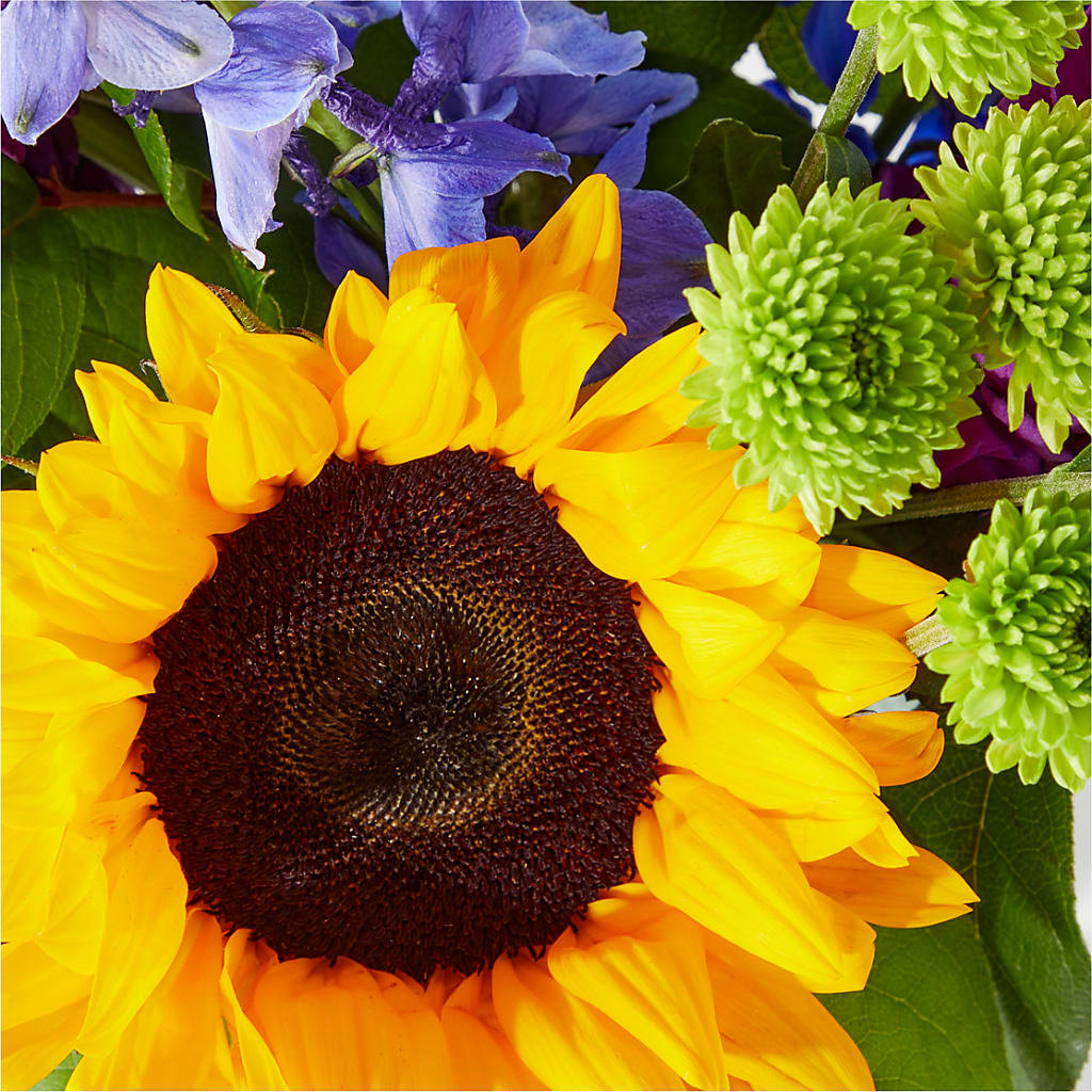 Catching Rays Bouquet – BUEHLER'S FLORAL, Wooster OH