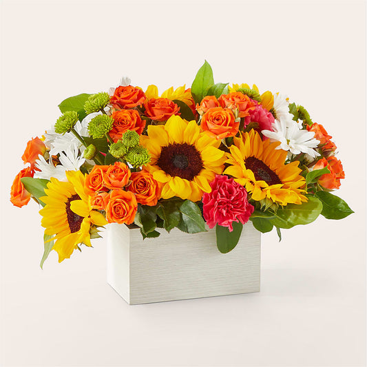 Sun-drenched Blooms Box Bouquet – BUEHLER'S FLORAL, Wooster OH