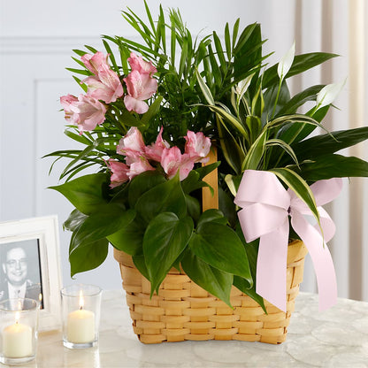 Living Spirit Dishgarden – BUEHLER'S FLORAL, Wooster OH