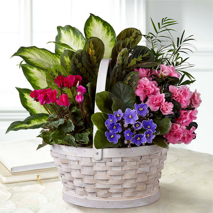 Peaceful Garden Planter – BUEHLER'S FLORAL, Wooster OH