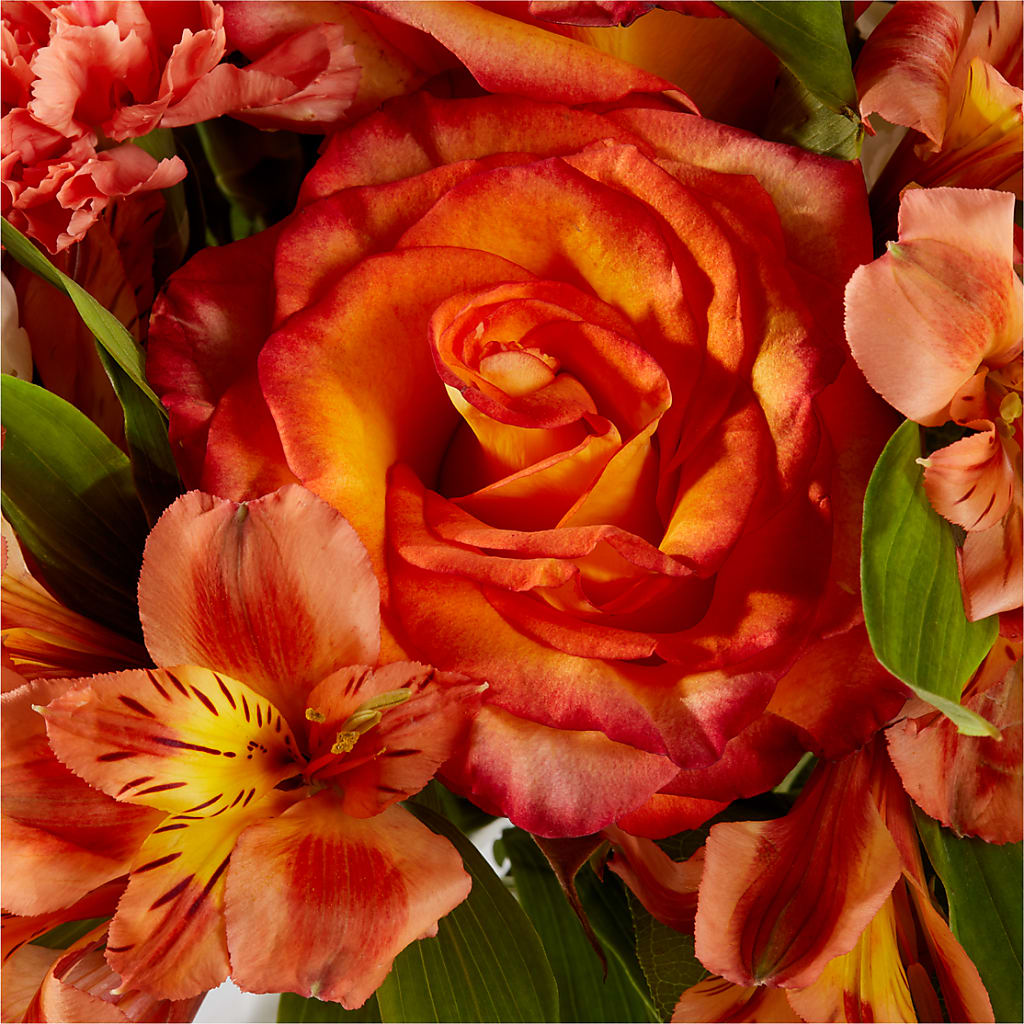 Apricot Glow Bouquet – BUEHLER'S FLORAL, Wooster OH