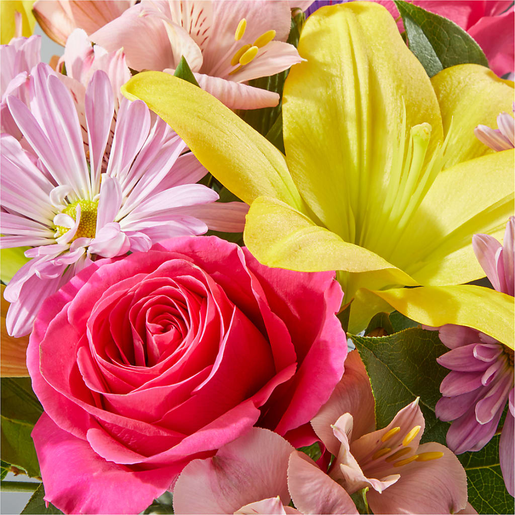 Sprinkles Bouquet – BUEHLER'S FLORAL, Wooster OH