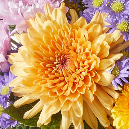 Countryside Bouquet – BUEHLER'S FLORAL, Wooster OH