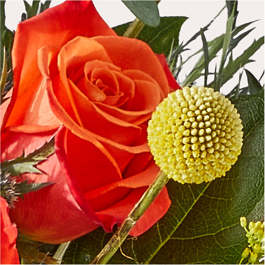 Disco Bouquet – BUEHLER'S FLORAL, Wooster OH