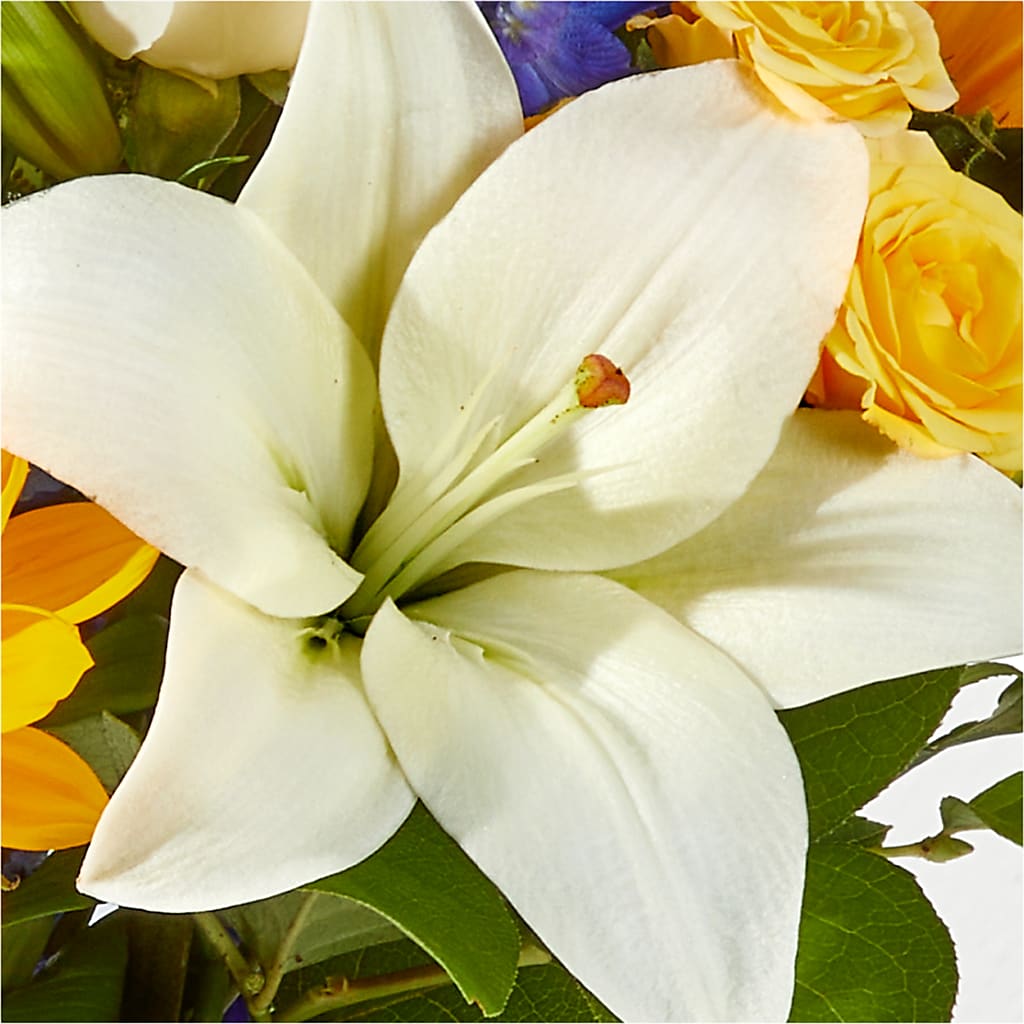 Wonderfully Sunny Bouquet – BUEHLER'S FLORAL, Wooster OH