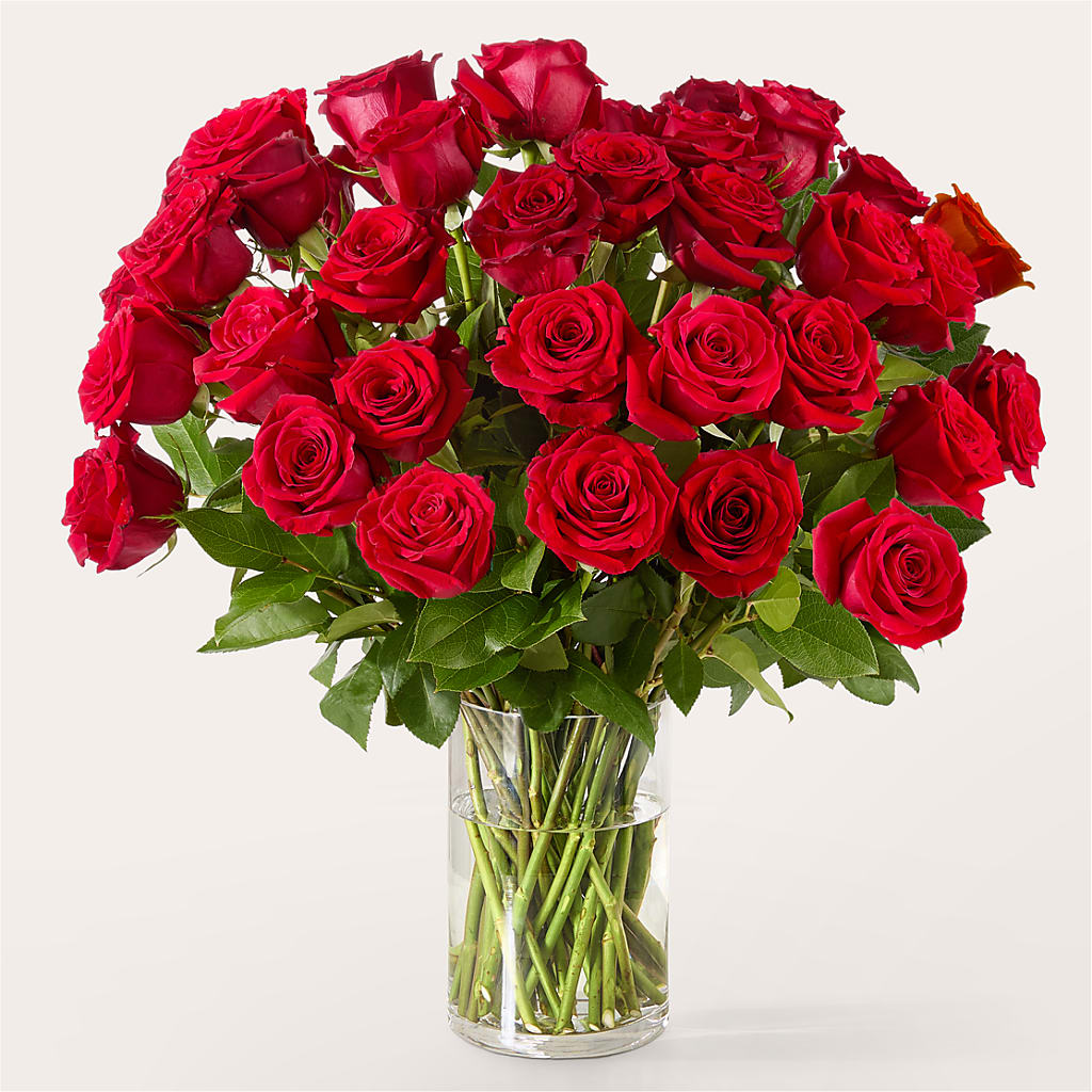 The One Red Rose Bouquet – BUEHLER'S FLORAL, Wooster OH