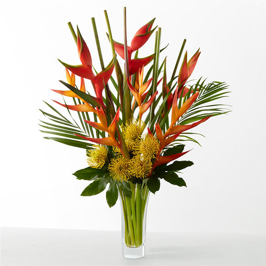 The Drama – BUEHLER'S FLORAL, Wooster OH
